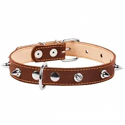 COLLAR - Нашийник для собак подвійний з шипами