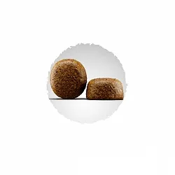 Josera Dog Large Breed Cухий корм для собак великих порід