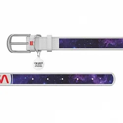 Нашийник для собак шкіряний WAUDOG Design з QR паспортом, малюнок "NASA21"