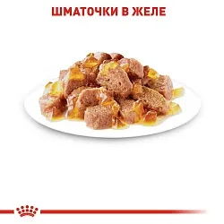 Royal Canin Instinctive Jelly Консерви для котів старше 1 року шматочки в желе