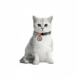 Ошейник для кошек нейлоновый WAUDOG Nylon с QR, Colors of freedom