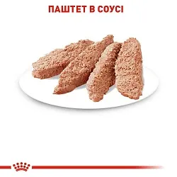 Royal Canin Sterilised Gravy Консерви для стерилізованих котів