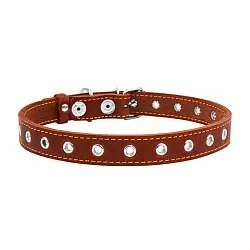 COLLAR - Нашийник для собаки безрозмірний