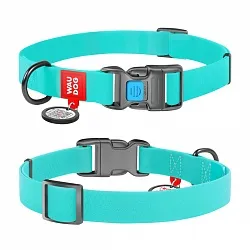 Водостійкий нашийник для собак WAUDOG Waterproof c QR паспортом, світонакоплювальний, ментоловий
