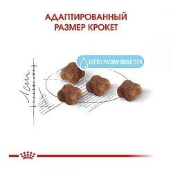 Royal Canin Mother and Babycat Корм для кошенят від 1 до 4 місяців