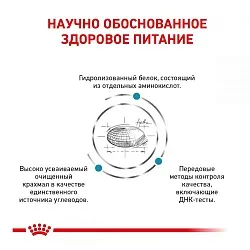 Royal Canin Hypoallergenic Dog Лікувальний корм для собак