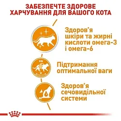 Консерви Royal Canin Intense Beauty Gravy для котів підтримки краси шерсті