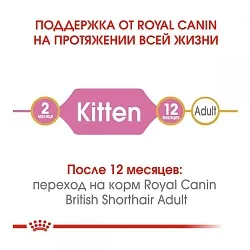 Royal Canin British Shorthair Kitten Корм для кошенят породи британська короткошерста