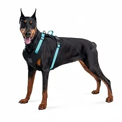 Шлея для собак безопасная WAUDOG Nylon с QR паспортом, металлическая пряжка-фастекс
