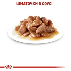Консерви Royal Canin Intense Beauty Gravy для котів підтримки краси шерсті