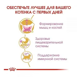 Royal Canin British Shorthair Kitten Корм для кошенят породи британська короткошерста