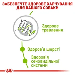 Royal Canin X-Small Mature +8 Сухий корм для собак карликових порід старше 8 років