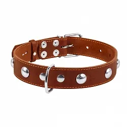 COLLAR - Нашийник для собак одинарний з прикрасами