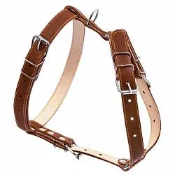 COLLAR - Шлея подвійна для середніх собак