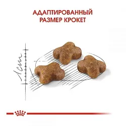Royal Canin Kitten Корм для кошенят до 12 місяців