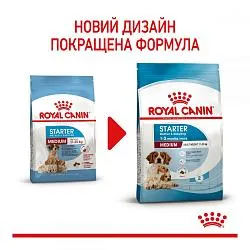 Royal Canin Medium Starter для собак середніх порід в період вагітності і лактації