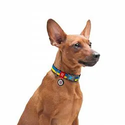 Нашийник для собак нейлоновий WAUDOG Nylon з QR, Colors of freedom, пластиковий фастекс