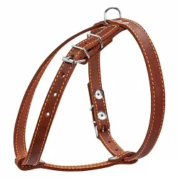 COLLAR - Шлея одинарна для малих порід собак