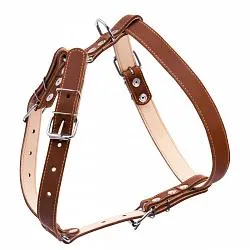 COLLAR - Шлея подвійна для середніх собак