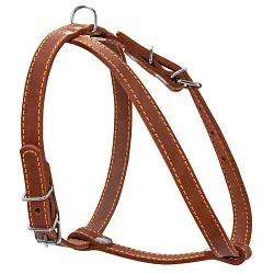 COLLAR - Шлея одинарна для малих порід собак