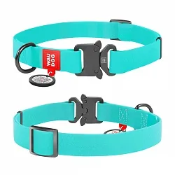 Нашийник для собак водостійкий WAUDOG Waterproof c QR паспортом, світонакоплювальний, ментоловий, металева пряжка-фастекс