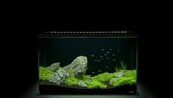 Аквариумный набор Aqua Set 66 литров
