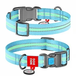 Нашийник для собак нейлоновий WAUDOG Nylon з QR паспортом, світонакоплювальний, пластиковий фастекс