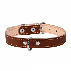 COLLAR - Нашийник для собак, подвійний