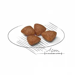Royal Canin Mini Starter Сухий корм для собак дрібних порід в період вагітності і лактації