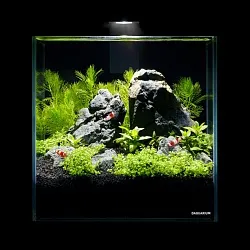 Аквариумный комплект Pico Set 5 литров