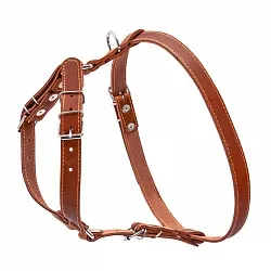 COLLAR - Шлея одинарна для малих та середніх собак