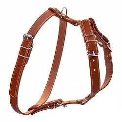 COLLAR - Шлея одинарна для малих та середніх собак
