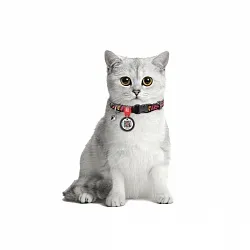 Ошейник для кошек нейлоновый WAUDOG Nylon, Граффити, пластиковый фастекс