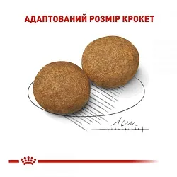 Royal Canin Medium Adult Сухий корм для собак середніх порід