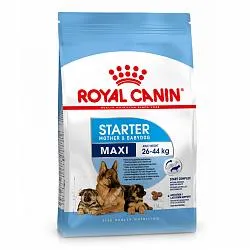 Royal Canin Maxi Starter Сухий корм для вагітних, годуючих сук і цуценят великих порід