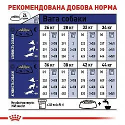 Royal Canin Maxi Adult 5+ Сухий корм для собак великих порід старше 5 років